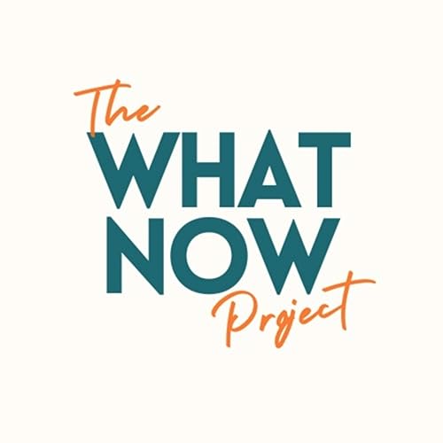 Couverture de The What Now Project