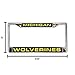 Rico Industries NCAA Michigan Wolverines Blue Chrome Laser License Frame 12
