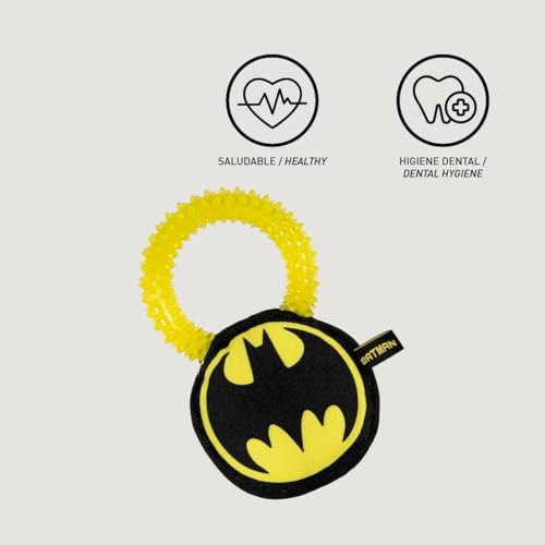 CERDÁ LIFE'S LITTLE MOMENTS - for Fan Pets Batman Hundespielzeug - Offizielle DC Comics Lizenz Mehrfarbig