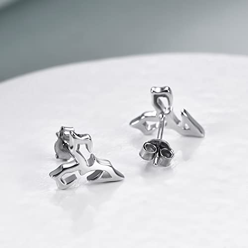 Final Fantasy X Earrings 925 Sterling Silver Tidus Zanarkand Abes Stud Earrings Jewelry Gifts for Women2