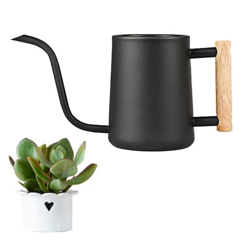 LPAMABA Regadera 1000ml Acero Inoxidable