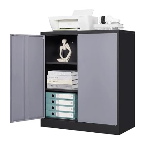 Letaya Metal Storage Cabinets with Lock Door,2 Adjustable Shelves Organizer Steel Storage Cabinets for Home,Office,Warehouse,Garage,Employee Lockers(Black Gray) Cover