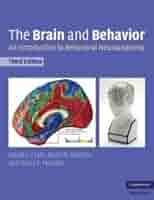 洋書 the neurobiology of brain and behavioral 洋書 the neurobiology of brain and behavioral Neurobiology