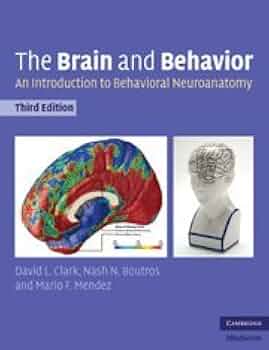 洋書 the neurobiology of brain and behavioral Neurobiology of Brain Disorders: Biological Basis of