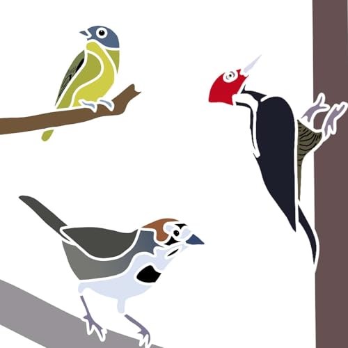 Birding in Costa Rica