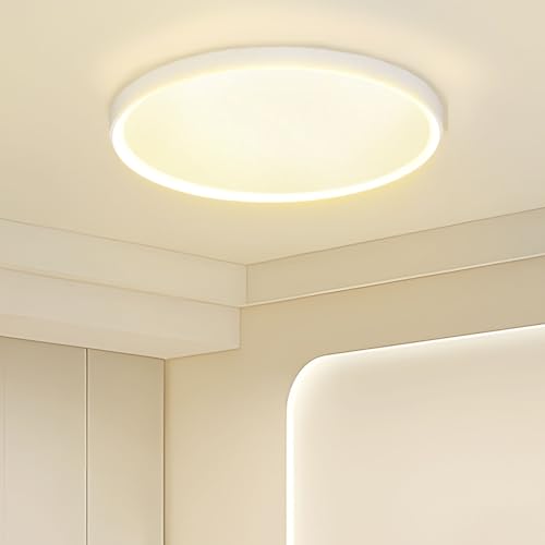 Plafonnier design arrondi ultra fin de 36W idéal pour l'éclairage élégant d'un hôtel