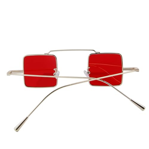 Retro Small Square Sunglasses for Men Women Metal Bridge Sunglasses Fashion Unisex for Driving Travel Outdoor Activities3