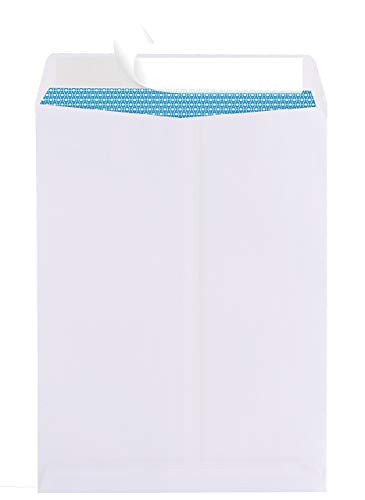 100 10 X 13 Self-Seal Security White Catalog Envelopes - 28Lb, 100 Count, Security Tinted, Ultra Strong Quick-Seal, 10X13 Inch (39100) #TOP1
