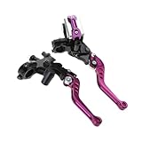 QmeNa Motorrad Kupplungshebel 2024 7/8 Zoll 22 Mm Verstellbarer Bremskupplungshebel Mit Hydraulikzylinder-Reservoir Für Motorrad-Tuning