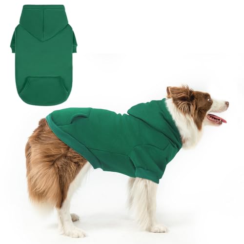 SCENEREAL pp[J[ Z[^[   ^p t[X hbO XEFbgVc Xqƃ|Pbgt,\tg h ~ SV^   STCY ~ XL TCY p O[ L