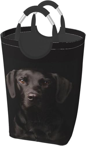 h[oXPbge 󂩂 h DSȍ̃uh[ 󕨗p H eʕzGݎ[{bNX ܂ݎ[{bNX ĕt ی^ Vvł[