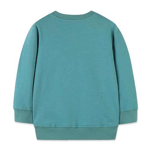 Toddler Boys Sweatshirts Kid Long Sleeve Crewneck Pullover 100% Cotton Tops Cartoon Casual Shirts2