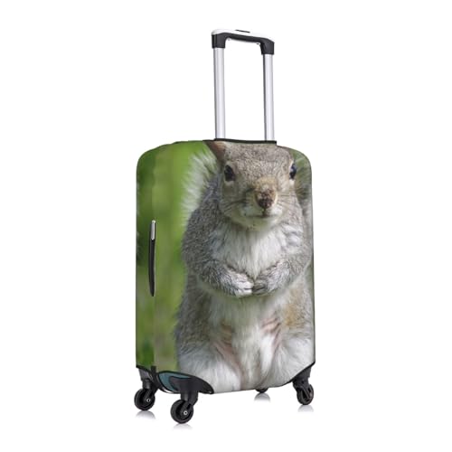 Squirrel Print Luggage Suitcase Covers Elastic Washable Luggage Protector Luggage Covers For Suitcase3