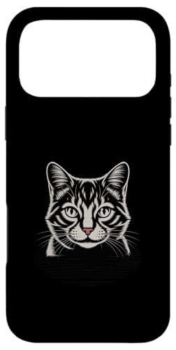 ���A���ȔL�̏ё���̊�B �X�}�z�P�[�X iPhone 17 Pro Max �p