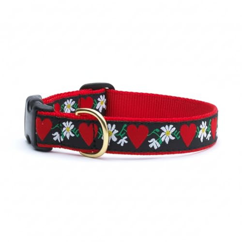 Up Country Hearts And Flowers Collar Wide, M