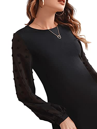 Image of SweatyRocks Women's Elegant Mesh Contrast Long Sleeve A Line Mini Short Dress