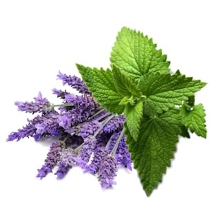 Aromatherapy Natural & Organic Lavender & Peppermint Room Spray, Pillow & Body Spray - Image 4