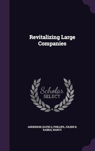 Revitalizing Large Companies 1341920518 Book Cover