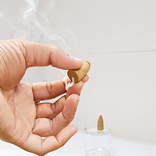 Image of Aromatika Natural Backflow Incense Cones, 5 Packs 5 Fragrances 50 Pcs, (Sandal, Lavender, Patchouli, Rose, Lotus) | Pack 'B'