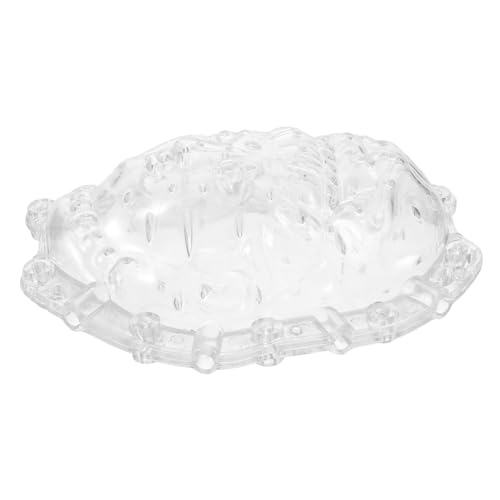 TOYANDONA Ginseng Melones Transparentes Herramienta Decorar y Verduras Único y Práctico Casa