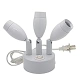 LUMINTURS 3W Three Heads LED Wall Mount Spotlight Adjustable Picture Light Plug In Lamp On/Off Butto