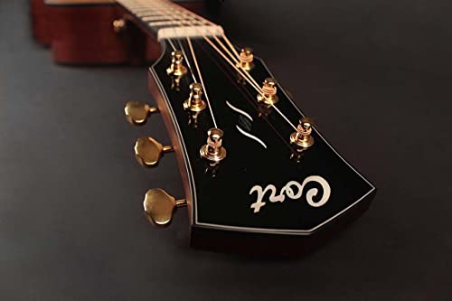 cort Guitare folk GOLDP6BNAT doré p6 naturel brillant - Les Beatles, Paul McCartney, John Lennon, RIngo Starr, George Harrison cort Guitare folk GOLDP6BNAT doré p6 naturel brillant – Image 4