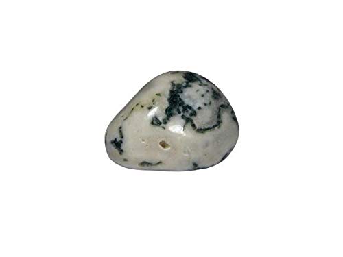 Agate d'arbre pierre semi-précieuse de collection 58,9 Ct référence B08RDT4HDMS