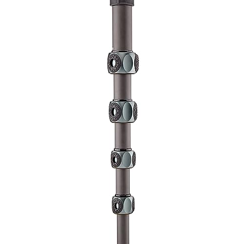 3 Legged Thing Legends Alana Carbon Fibre Monopod - Travel-Friendly Camera Monopod for Professional Photographers & Videographers (ALANAGREY)