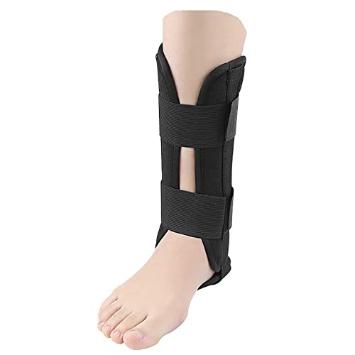 X^rCU[u[X ߉\ Kȑ񑫑 ꑕ Ж ؖ ] EH[LOV[Y ɂ݂̊ɘa ubN S