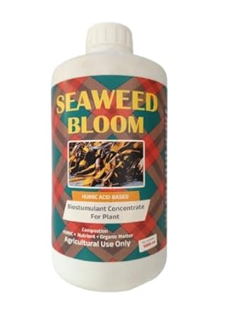 Organic Seaweed Extract Liq. Con. For Potted POTTED PLANTS | Fertilizer For All INDOOR and OUTDOOR Plants | Plant Growth Enhancer | Improve Plant Root System (4 lit)