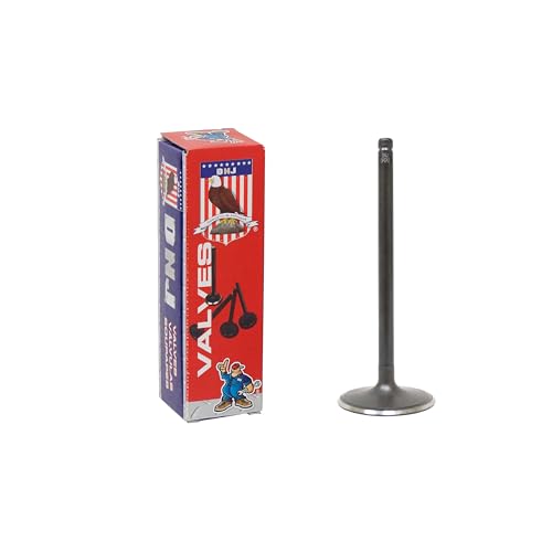 DNJ IV4243 Intake Valve for 2014-2022 Chevrolet, GMC Express 2500, Express 3500, Savana 2500 4.3L-5.3L V6 12V OHV 262cid