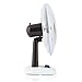 Imagen de Orbegozo TF 0143, Ventilador de sobremesa