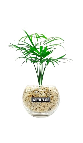 GREEN PLACE テーブルヤシ ミニ 観葉植物 本物 母の日 ギフト 【鉢 × 植え込み材を選べる】 ゼオライト バルーン鉢 TN