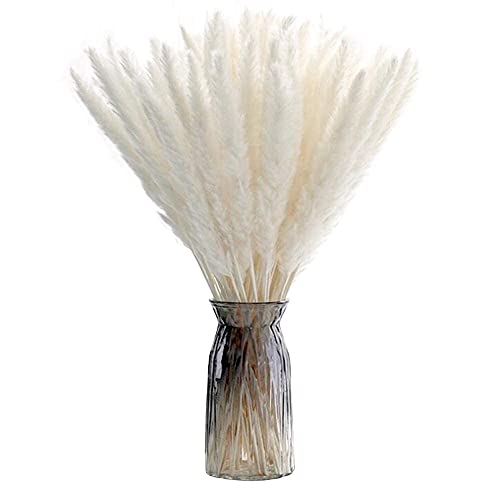Herbe de la Pampa Séchées 30pcs, ZOLGINAH 45cm Bouquet de Fleurs Pampa Sechees Naturelles Decorative Vase Artificielle Branche Plante Boheme Maison Balcon Cuisine Salon Table Mariage, Blanc