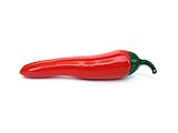 Chili Pepper Shaped Butane Lighter - Collectible Refillable Novelty Lighter (NO Butane Included)