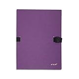 Exacompta Lot de 10 Chemises extensible 223500 Recouverte de papier contrecollé Violet