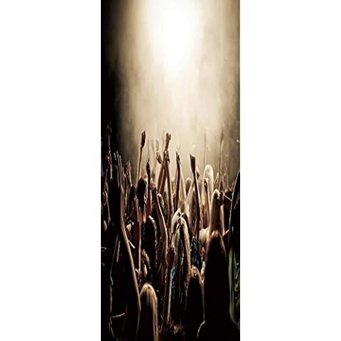 A.Monamour 3D Door Stickers for Interior Doors Cover