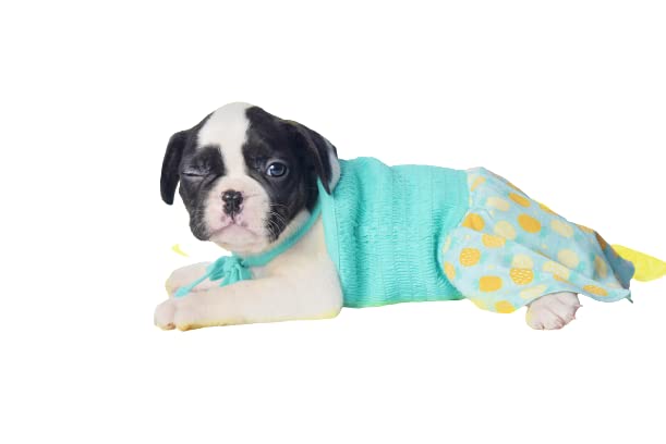 CHINQOOPER Cotton Top Soft Stretchable Spandex Puppy Clothes Summer Dog Dress - Dogs Clothes Dress Cute Skirt Outfits Floral Print Dog Skirt Dog Vest Tanks Tops Tees for Small Dogs (M, sea Green) (B09VT1BRM1) Amazon Price History, Amazon Price Tracker