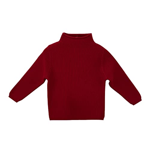 Toddler Children Boys Girls Ribbed Half Turtleneck Winter Sweater Base Sweater Solid Color 69 Month Girl Clothes