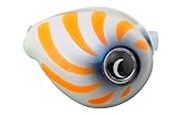 JACKALL(ジャッカル) TGビンビン玉スライド雷流ヘッド NEO 30g シマシマグローパール