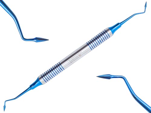 Dental Amalgam Filling Instrements Composite Shaper Carver Burnisher and Plugger by Artman Instruments (Double Ended Carver)