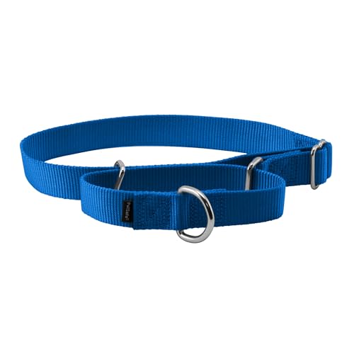PetSafe Martingale Dog Collar Large, 1 Inch, Royal Blue