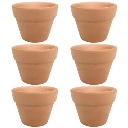 Molyorch 6 Piezas Maceteros De Terracota, Macetas De Arcilla Macetas De Terracota, Para Plantas Semillas, Cactus, Escritorio Oficina Regalo 10 10cm Molyorch 6 Piezas Maceteros De Terracota, Macetas De Arcilla Macetas De Terracota, Para Plantas Semillas, Cactus, Escritorio Oficina Regalo 10 10cm