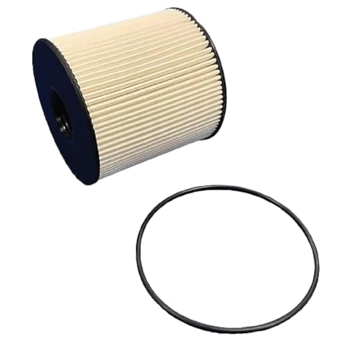 Fuel Filter Replacement Kit - Compatible with select Chevrolet Silverado models - Replaces O.E. TP1021; Baldwin PF46250 - Automotive Parts Replacement