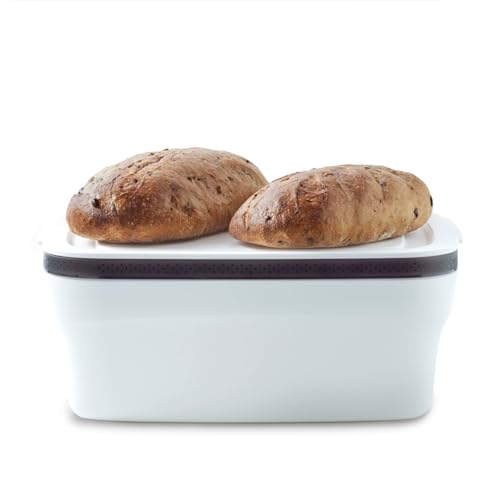 Tupperware BreadSmart Large - Das Original aus dem TV - Großer Frischhaltebehälter für Gebäck & Brot - BPA-Frei - Backwaren bleiben länger frisch - weniger Abfälle