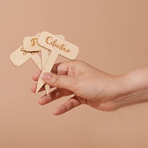 Herb Garden Markers - Set Of 9 - Rustic - Gardener Gift - Made In The Usa - Birchwood- 2.75" X 4” - Herb Garden Potted Plant Engraved Stakes - Garden Plant Markers - Herb Garden Signs #TOP3