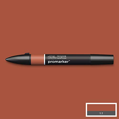 Image of Winsor & Newton Promarker, Alcohol Based Markers, Burnt Umber (R646), Double Tipped Drawing Marker Set for Artists, Graphic Designers, Illustrators - Chisel & Fine Twin Tip, Streak Free Coverage
