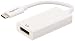 AmazonBasics USB 3.1 Type-C to DisplayPort Adapter - White