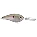 Strike King Pro Model 5XD Crankbait, Green Gizzard Shad