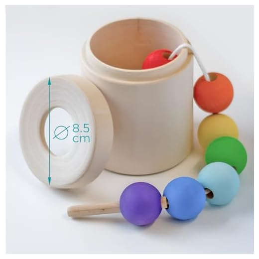 Montessori Lacing Toy for Toddler Learning